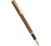 Перьевая ручка Pierre Cardin Eco - Steel GT PC0866FP