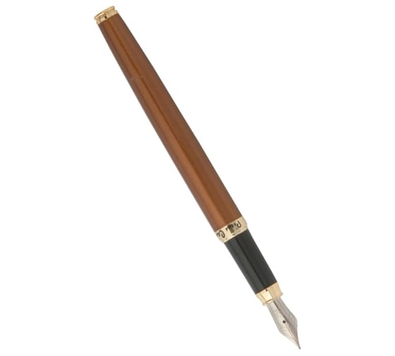 Перьевая ручка Pierre Cardin Eco - Steel GT PC0866FP