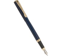 Перьевая ручка Pierre Cardin Eco - Steel GT PC0871FP