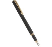 Перьевая ручка Pierre Cardin Eco - Steel GT PC0867FP