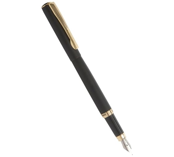 Перьевая ручка Pierre Cardin Eco - Steel GT PC0867FP 1