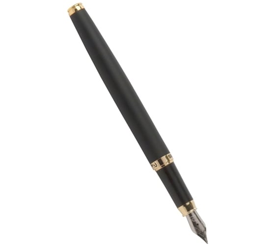 Перьевая ручка Pierre Cardin Eco - Steel GT PC0867FP