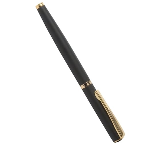 Перьевая ручка Pierre Cardin Eco - Steel GT PC0867FP