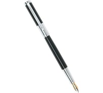 Перьевая ручка Pierre Cardin Evolution - Black Chrome, M PC1020FP