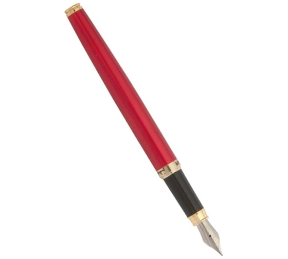 Перьевая ручка Pierre Cardin Eco - Steel GT PC0870FP
