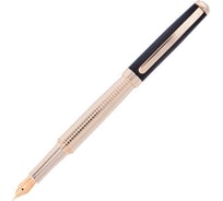 Перьевая ручка Pierre Cardin Golden - Gold, F PC8112FP
