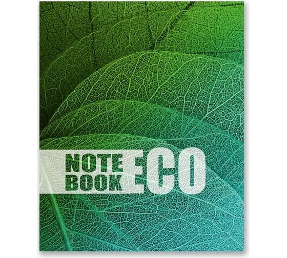 Бизнес-блокнот SVETOCH Nature Style глянцевая ламинация, A5+ 64 листа клетка 405 упаковка 18 шт 682828 1