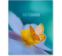 Бизнес-блокнот SVETOCH Летнее утро 387 глянцевая ламинация, A5+ 64 листа клетка упаковка 18 шт 682813