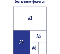 Папка с 30 вкладышами Berlingo Soft Touch, 17 мм, 700 мкм, зеленая, с внутр. карманом DB4_30983