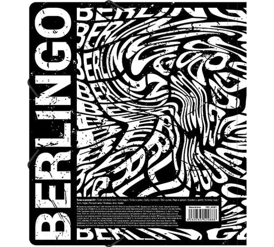 Папка для тетрадей на резинке Berlingo Monochrome А5+, 600 мкм, с рисунком FB5_A5S01