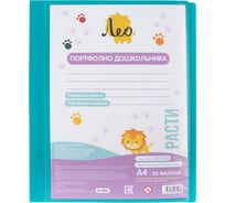 Папка-портфолио дошкольника с файлами Лео Расти 20 листов A4, 700 мкм, 15 мм, песок, 1 бирюзовый 665489