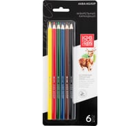 Набор акварельных карандашей Аква-колор заточенные 10 шт х 6 цветов 626234