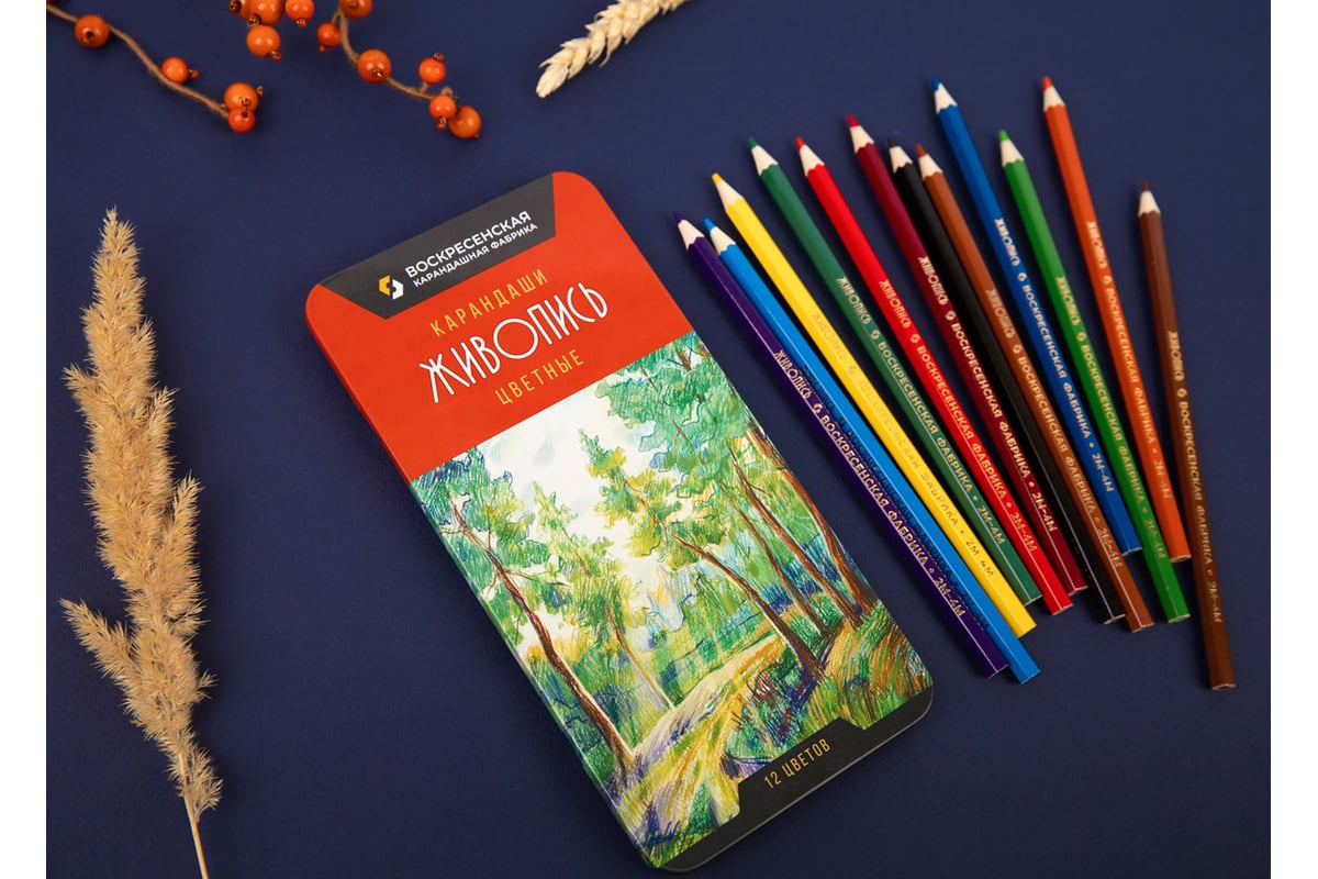 Набор цветных карандашей Воскресенская карандашная фабрика Живопись ...