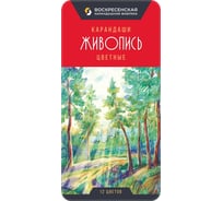 Набор цветных карандашей Воскресенская карандашная фабрика Живопись заточенные 2 шт х 12 цветов в металлической коробке 621812