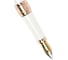 Перьевая ручка Pierre Cardin Secret - White GT, M PC1061FP 2