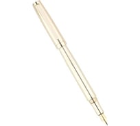 Перьевая ручка Pierre Cardin Golden - Gold, M PC8114FP