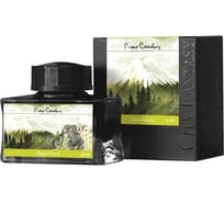 Чернила Pierre Cardin 50 мл, зеленые PC332-L5