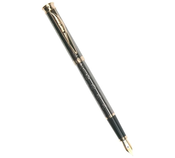 Перьевая ручка Pierre Cardin Tresor - Gun Metal, M PC2424FP 1