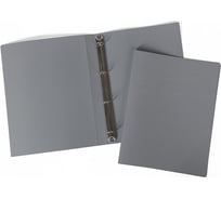 Пластиковая папка на4-х кольцах Hatber А4, корешок 25 мм LINE 037151