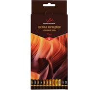 Набор цветных карандашей Vista-Artista Земляные тона заточенный, 8 шт, 12 цветов 651183