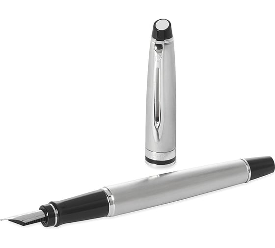 Перьевая ручка Waterman Expert - Stainless Steel CT, F S0952040