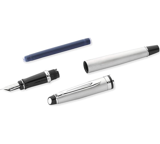 Перьевая ручка Waterman Expert - Stainless Steel CT, F S0952040
