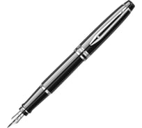 Перьевая ручка Waterman Expert - Black CT F S0951740