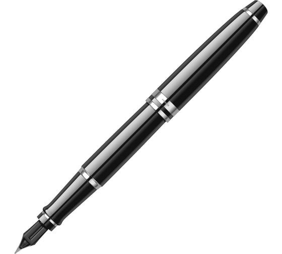 Перьевая ручка Waterman Expert - Black CT F S0951740