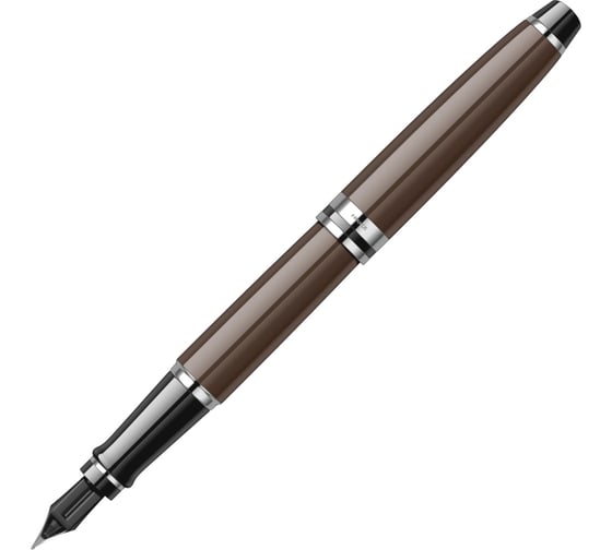 Перьевая ручка Waterman Expert - Brown CT F S0952220