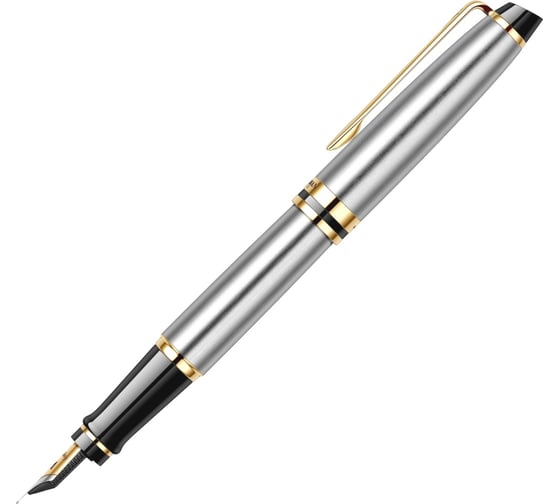 Перьевая ручка Waterman Expert - Stainless Steel GT, F S0951940