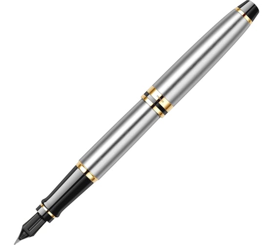 Перьевая ручка Waterman Expert - Stainless Steel GT, F S0951940