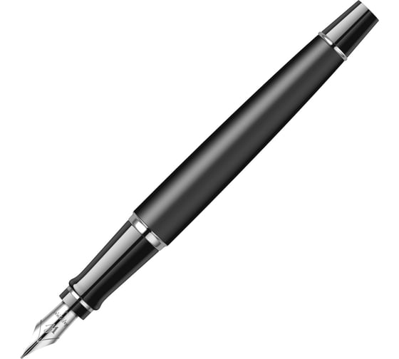 Перьевая ручка Waterman Expert - Matte Black CT F S0951840