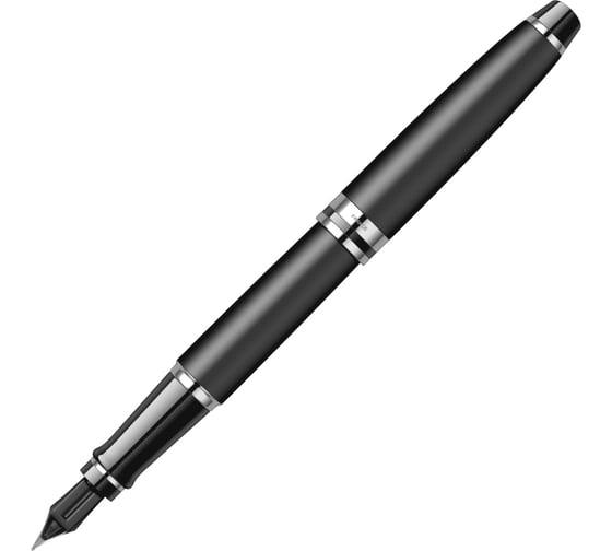 Перьевая ручка Waterman Expert - Matte Black CT F S0951840