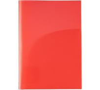 Папка-уголок Expert Complete 2 кармана, A4 180 мкм песок красный уп. 20шт. 589433