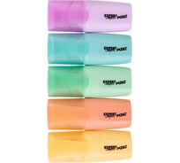 Набор текстовыделителей Expert Complete Пастельные цвета, мини, 5 цв 1-5 мм скошенное ассорти 645795