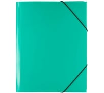 Папка Expert Complete на резинке, A4, 450 мкм, 35 мм, песок, зеленый, уп. 5 шт. 605717