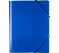 Папка Expert Complete на резинке A4, 450 мкм, 35 мм, песок, синий, уп. 5 шт. 605537