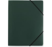 Папка Expert Complete на резинке, A4, 35 мм, PRISMA, изумрудный, уп. 5шт. 678192