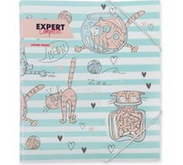 Папка Expert Complete на резинке A5, 450 мкм, 25 мм, песок №02 - Кот, уп. 6 шт. 647673