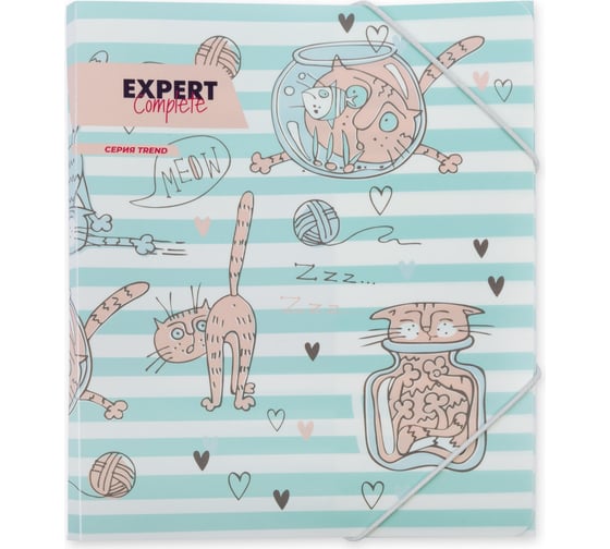 Папка Expert Complete на резинке A5, 450 мкм, 25 мм, песок №02 - Кот, уп. 6 шт. 647673 1