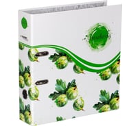 Папка-регистратор Expert Complete ламинированная "Фрукты" 75 мм A4 арочный механизм, крыжовник, 10 шт 589741