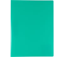 Папка Expert Complete с пружинным скоросшивателем A4 450 мкм 15 мм песок, зеленый, 6 шт 605718