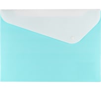 Папка-конверт Expert Complete 2 отделения с кнопкой A4 180 мкм, песок, голубой, 20 шт 586274