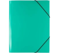 Папка Expert Complete на резинке, A5, 450 мкм, 25 мм, песок, зеленый, уп. 6 шт. 605723