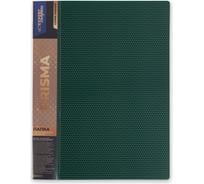 Папка Expert Complete металлический прижим, A4, 700 мкм, 20 мм, PRISMA изумрудный, уп. 6шт. 678182