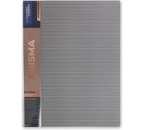 Папка Expert Complete металлический прижим, A4, 700 мкм, 20 мм, PRISMA серебряный, уп. 6 шт. 679367