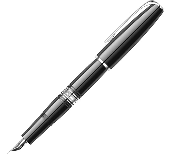 Перьевая ручка Waterman Charleston - Ebony Black CT F S0701030