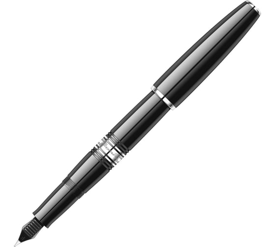 Перьевая ручка Waterman Charleston - Ebony Black CT F S0701030