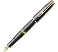 Перьевая ручка Waterman Charleston - Ebony Black GT F S0700980