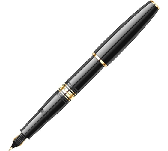 Перьевая ручка Waterman Charleston - Ebony Black GT F S0700980